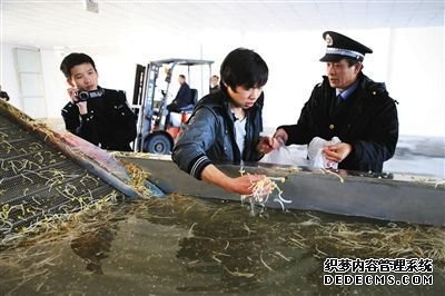 　執(zhí)法人員正讓一名員工從洗豆芽池內取樣，準備帶回檢測化驗。