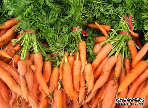 盤點七類清腸食物 掃光身體內積攢垃圾 盤點七類清腸食物 掃光身體內積攢垃圾