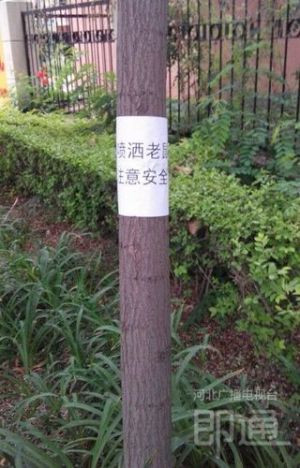 請留意投放標志，遛狗的市民也要注意。