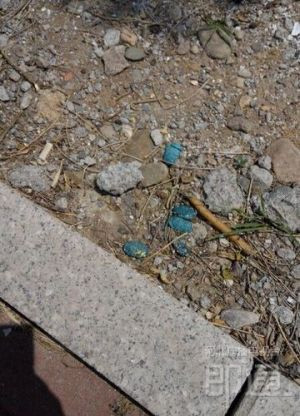 鼠藥顏色鮮艷，容易被兒童誤以為是糖塊撿起來食用，家長要注意。