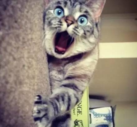 為行竊雇人開(kāi)鎖，大膽賊竟是女兒閨蜜！偷完錢還留字條嘲笑…