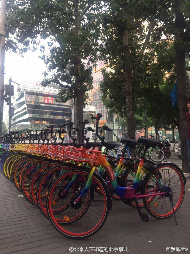如今推出的七彩單車把七種顏色全占了。
