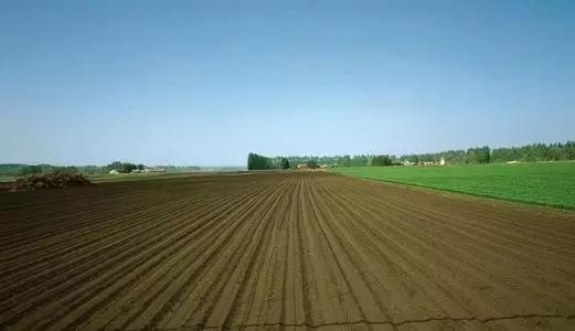 今年季節(jié)性休耕200萬畝