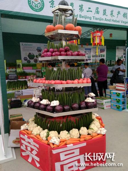 蔬菜“展架”。聶承華 攝