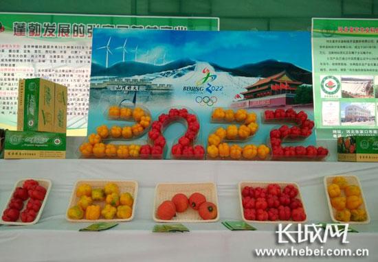 精品蔬菜。聶承華 攝