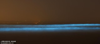 2017年9月17日凌晨，在河北省秦皇島市金夢(mèng)海灣浴場(chǎng)拍攝的“熒光?！?。