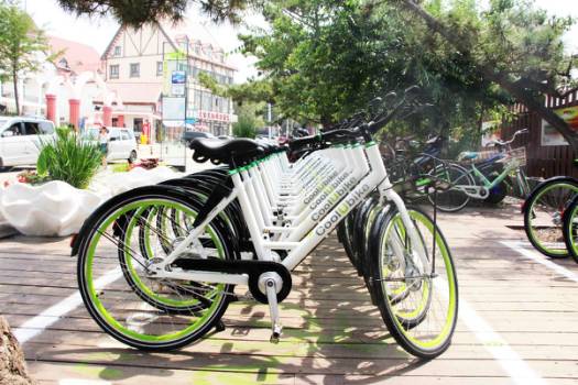 秦皇島街頭現(xiàn)共享單車婚禮 別樣創(chuàng)意驚艷海濱！