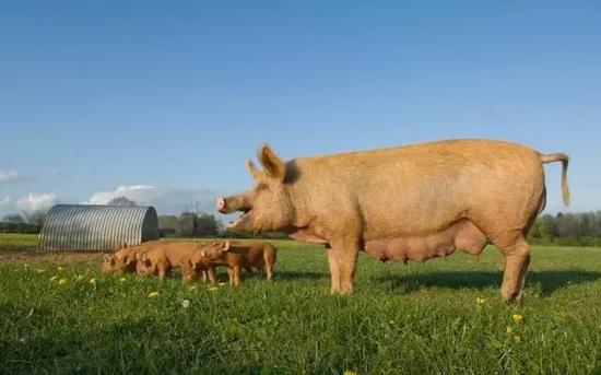 項(xiàng)目縣申報(bào)程序