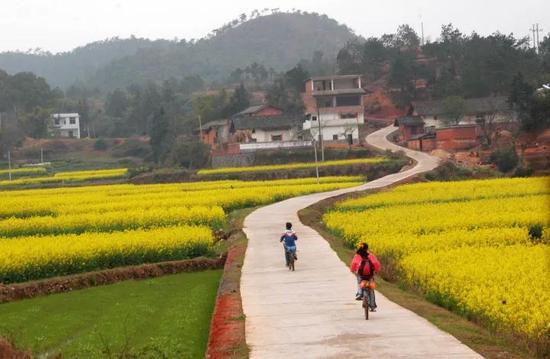 2016年中央和省級財政扶貧資金下達(dá)（各市縣）情況分布表