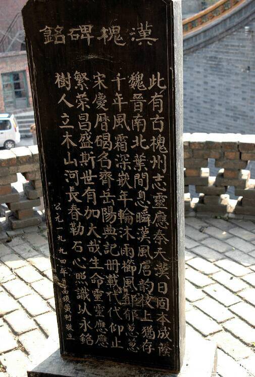 相傳此槐為漢代所植，樹干高達(dá)30余米，胸徑2.49米，主干高6.1米，冠幅東西24.8米，南北25.2米，一級(jí)分四枝，西面一枝被鋸，南面一枝風(fēng)折。