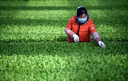 創(chuàng)新投融資機(jī)制