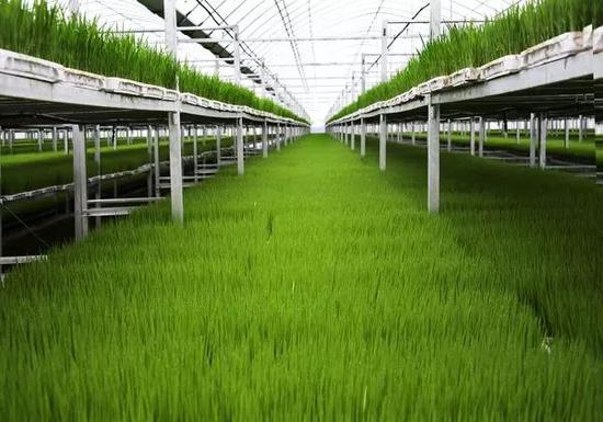 加強(qiáng)用地支持