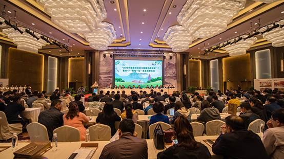 塞罕壩國家森林公園入選“中國森林體驗(yàn)基地”