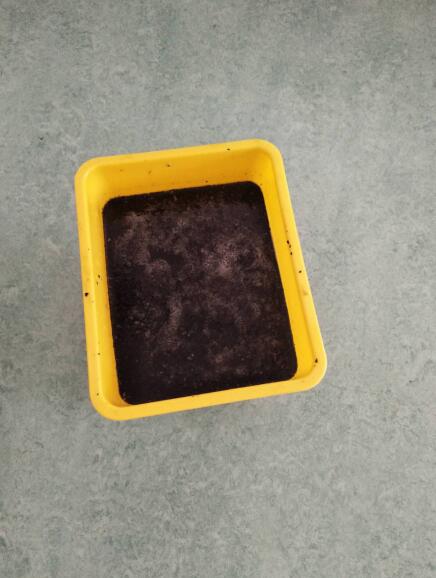 海爾空調(diào)免費(fèi)清洗公益行進(jìn)秦皇島:醫(yī)院20臺(tái)空調(diào)洗出臟水觸目驚心